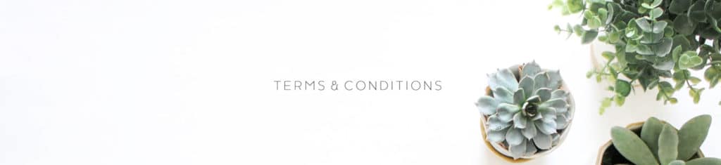 Terms & Condition banner image