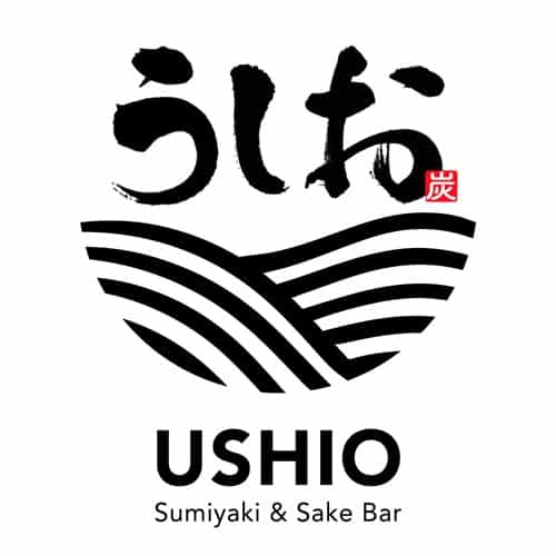 USHIO Logo - 500x500